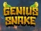 Gra Genius Snake w Internecie