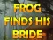 Gra Frog Finds His Bride w Internecie