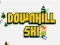 Gra Downhill Ski w Internecie