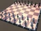 Gra Chess For Two w Internecie