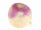 Gra Turnip w Internecie