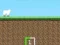 Gra Crazy Sheep w Internecie
