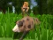 Gra Pixel Hunting.io w Internecie
