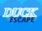 Gra Duck Escape w Internecie