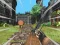 Gra Legendary Archer w Internecie