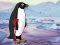 Gra Heal the Wounded Penguin w Internecie