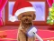 Gra Christmas ASMR Makerover Salon w Internecie