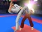 Gra Karate Fighter w Internecie