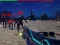 Gra Zombie Survivor w Internecie