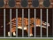 Gra  Andrewsarchus Release from Cage w Internecie