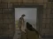Gra Silent Asylum 2 w Internecie