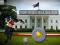 Gra Trump Wobble Walk Challenge w Internecie