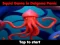 Gra Squid Game In Dalgona Panic w Internecie