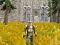 Gra Axe Of The Ancients Dwarven Fury w Internecie