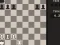 Gra Fun Chess Puzzles! w Internecie