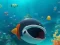 Gra Escape The Shark Cage w Internecie