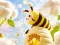 Gra Find The Differences: Little Bee's Adventure w Internecie