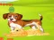 Gra Bunny Key Quest w Internecie