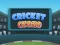 Gra Cricket Craze w Internecie