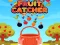 Gra Fruit Catchere w Internecie