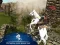 Gra Ertugrul Gazi Horse Sim w Internecie