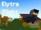 Gra Elytra Flight w Internecie
