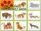 Gra Wild Animals Kids Memory game w Internecie