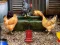 Gra Poultry Farm Easter Escape w Internecie