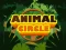 Gra Animal Circle w Internecie