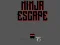 Gra Ninja escape w Internecie