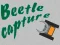 Gra Beetle Capture w Internecie