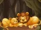 Gra Fun Zoo Animals Jigsaw w Internecie