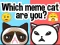 Gra Which Meme Cat Are You? w Internecie