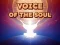 Gra Voice Of The Soul w Internecie