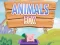 Gra Animals Box w Internecie