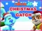 Gra Nick Jr. Christmas Catch w Internecie