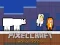 Gra PixelCraft Animal School w Internecie