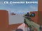 Gra CS: Command Snipers w Internecie