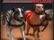 Gra Greyhound Racing w Internecie