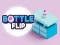 Gra Bottle Flip w Internecie