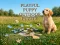 Gra Playful Puppy Outdoor Puzzle w Internecie