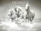 Gra Horses Puzzle w Internecie