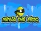 Gra Ninja the Frog w Internecie