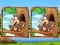 Gra Jungle 5 Diffs w Internecie