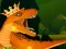 Gra The Dino King w Internecie