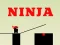 Gra Ninja go w Internecie