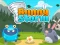 Gra Bunny Storm w Internecie