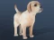 Gra IDLE Pet w Internecie