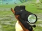 Gra Hunter 3D w Internecie