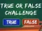 Gra  True Or False Challenge w Internecie